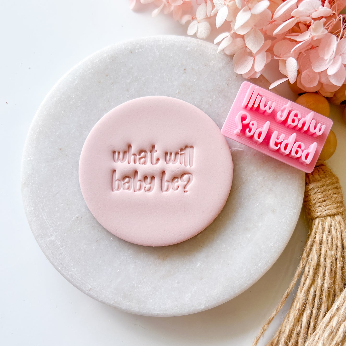 What Will Baby Be? #1 - Fondant Stamp