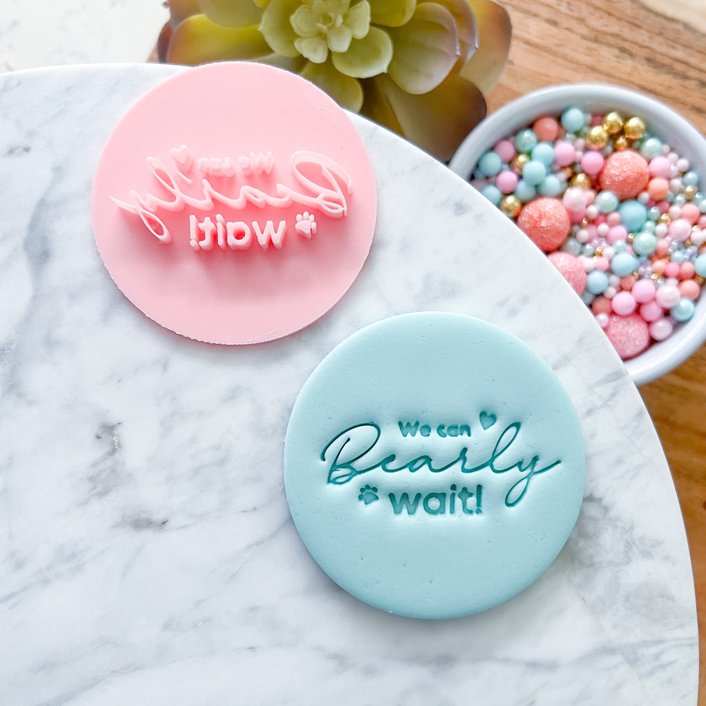 We Can Bearly Wait Fondant Stamp