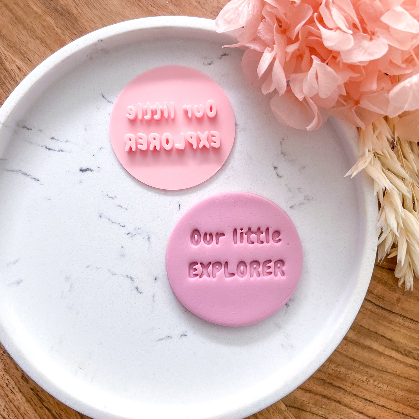 Our Little Explorer Fondant Stamp