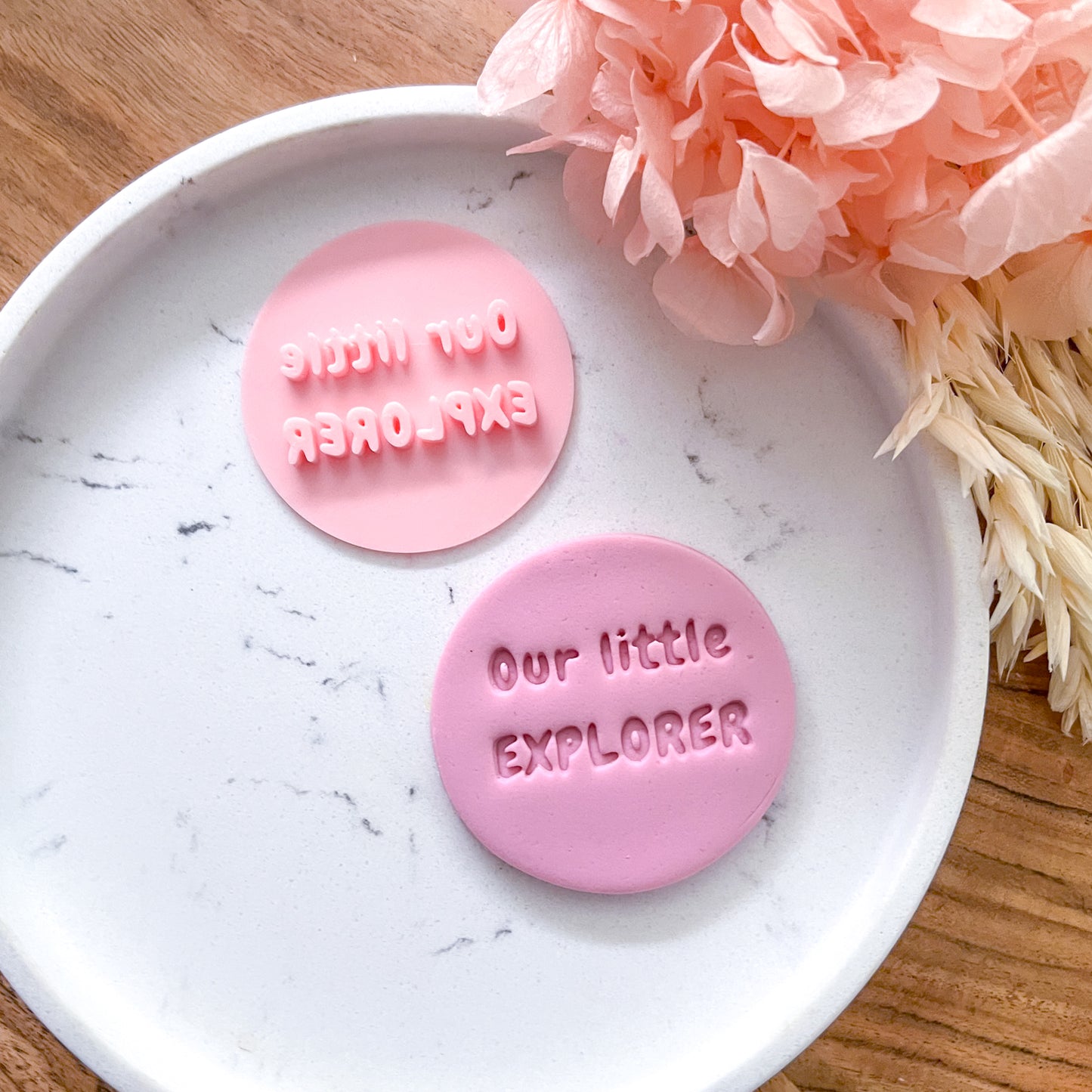 Our Little Explorer Fondant Stamp