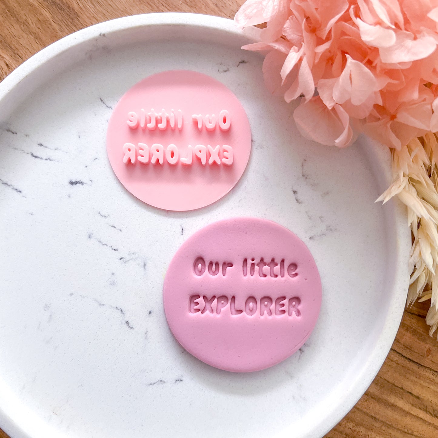 Our Little Explorer Fondant Stamp