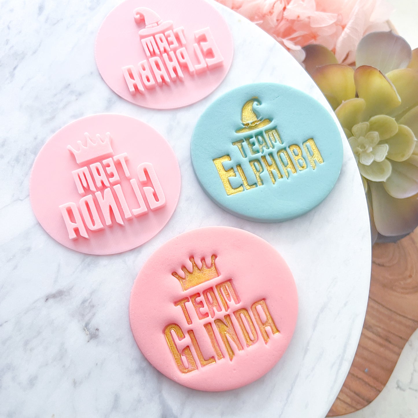 Team Elphaba- Fondant Stamp