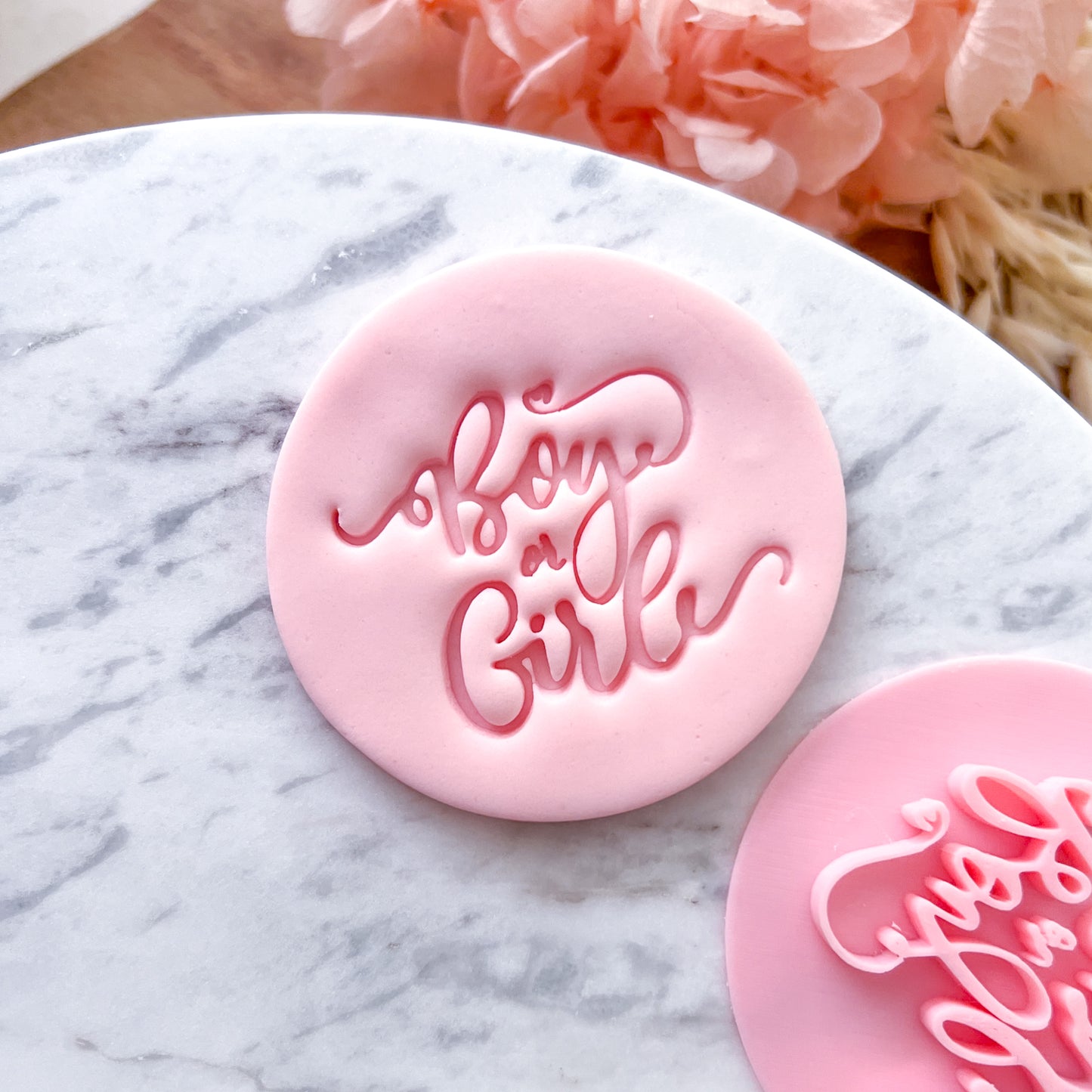 Boy Or Girl - Fondant Stamp