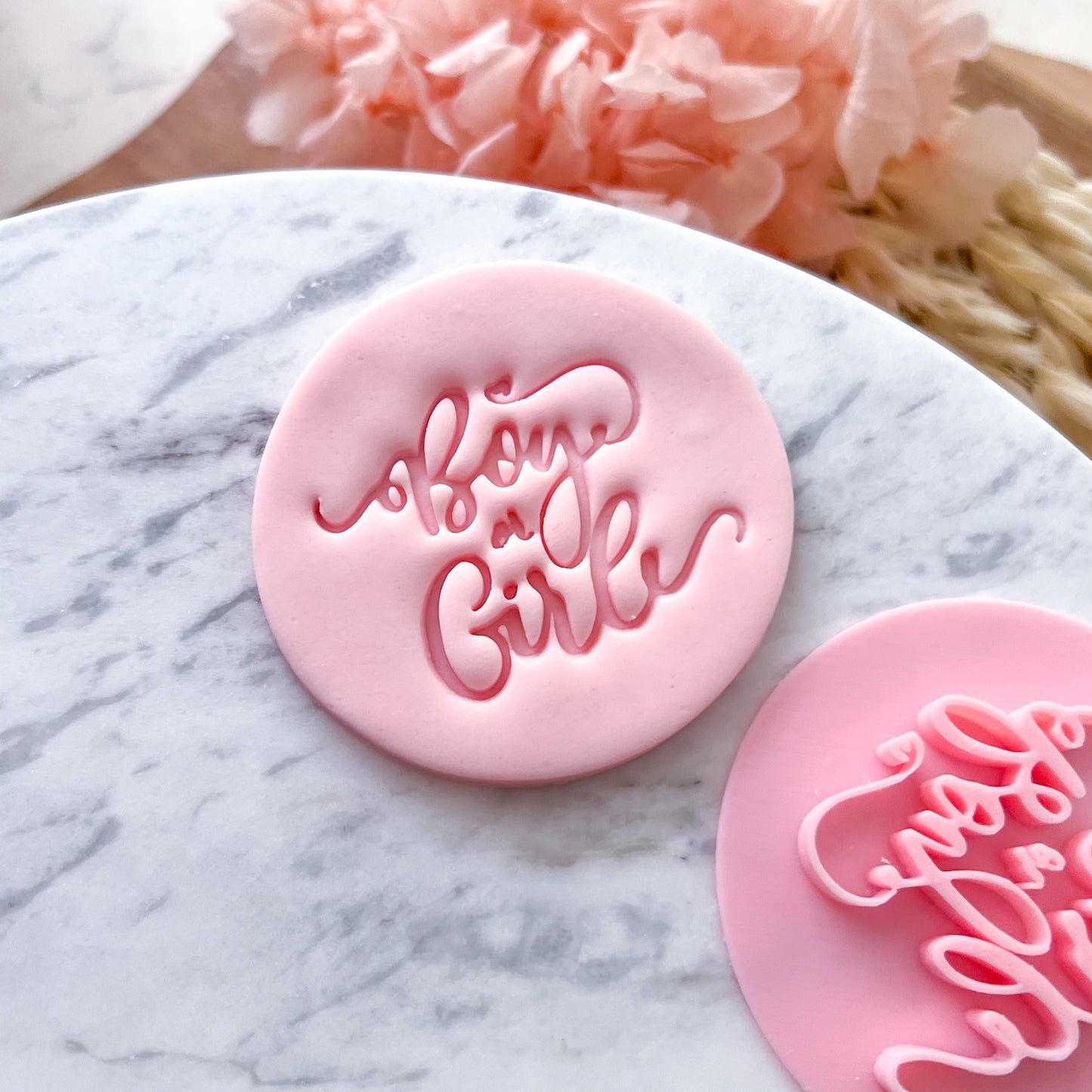 Boy Or Girl - Fondant Stamp