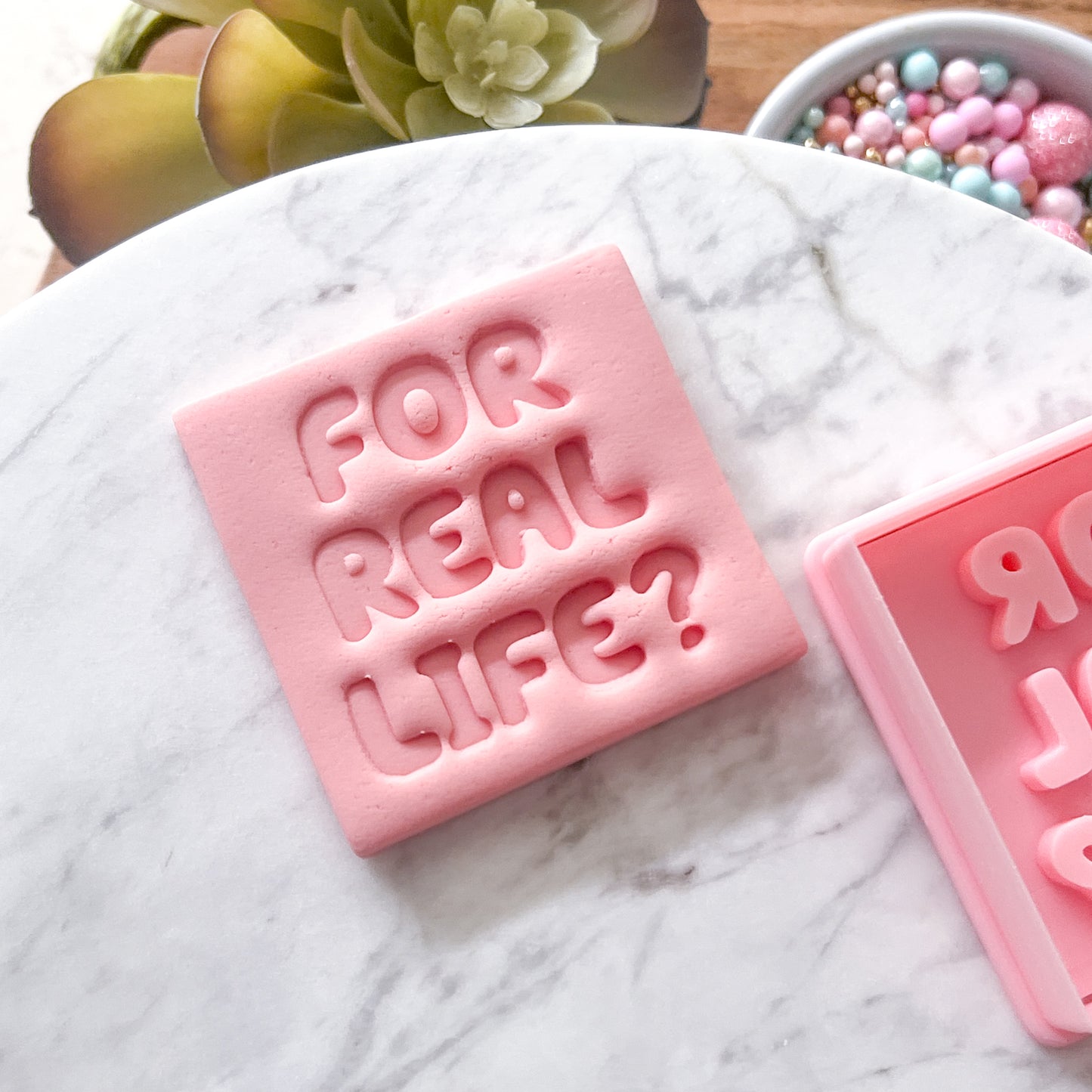 "For Real Life?" - Cookie Cutter & Stamp