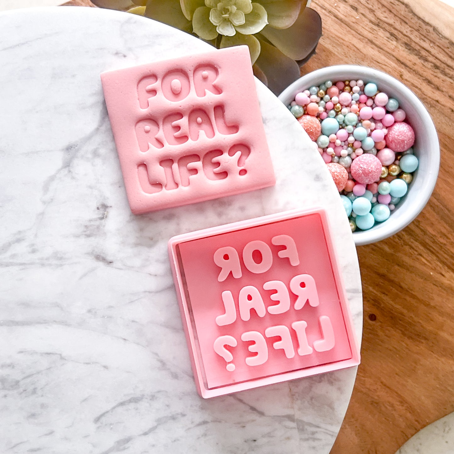 "For Real Life?" - Cookie Cutter & Stamp