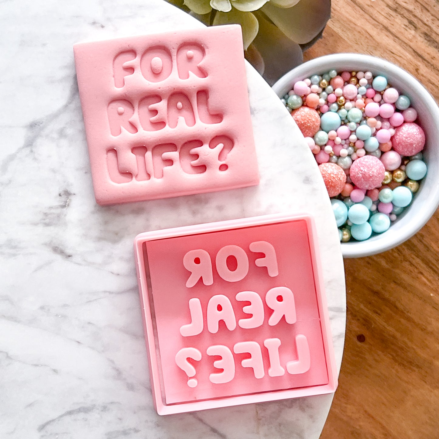 "For Real Life?" - Cookie Cutter & Stamp