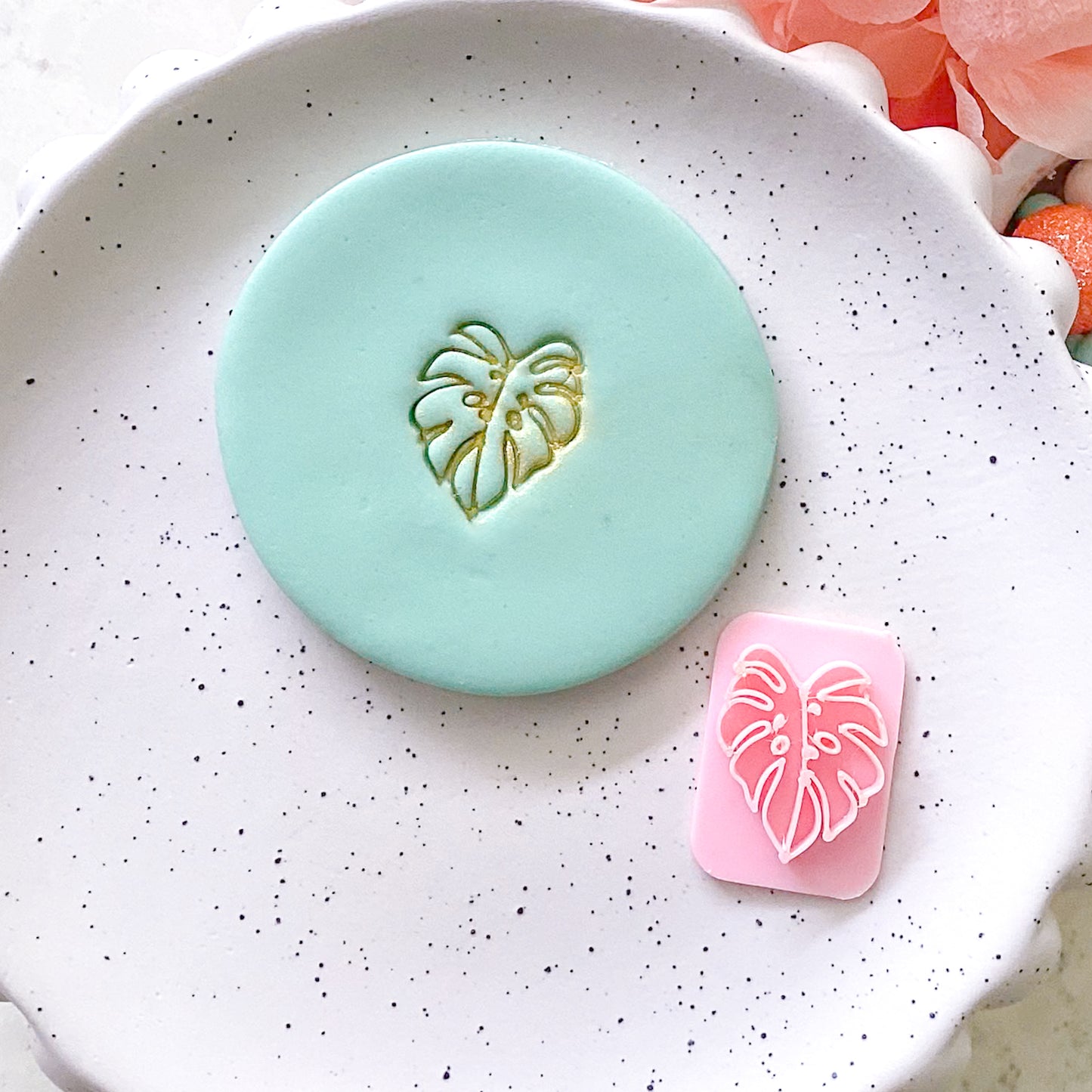 Monstera - Fondant Stamp