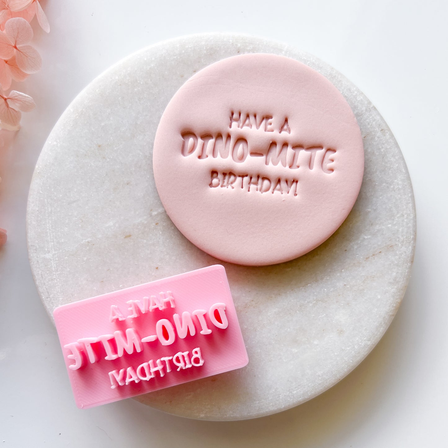 Have a Dino-Mite Birthday - Fondant Stamp