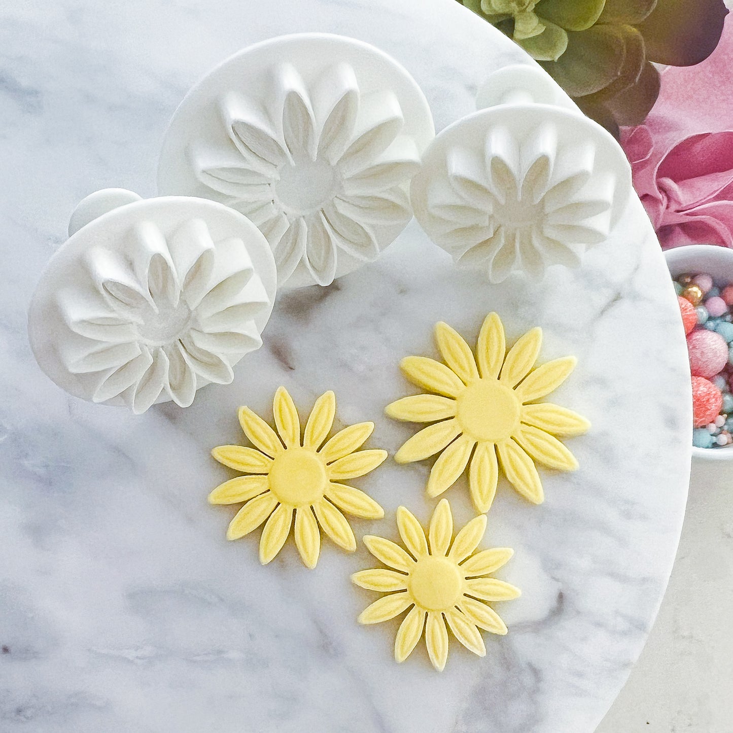 Flower #4 Push Cutter Set