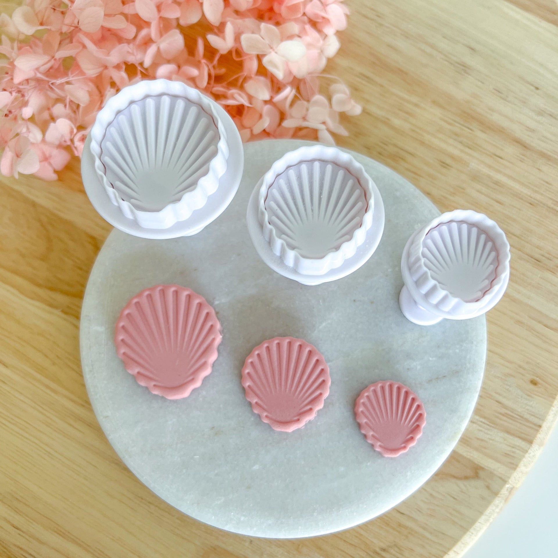 kitandco.com.au Cutter Shell Push Cutter (3 pcs)