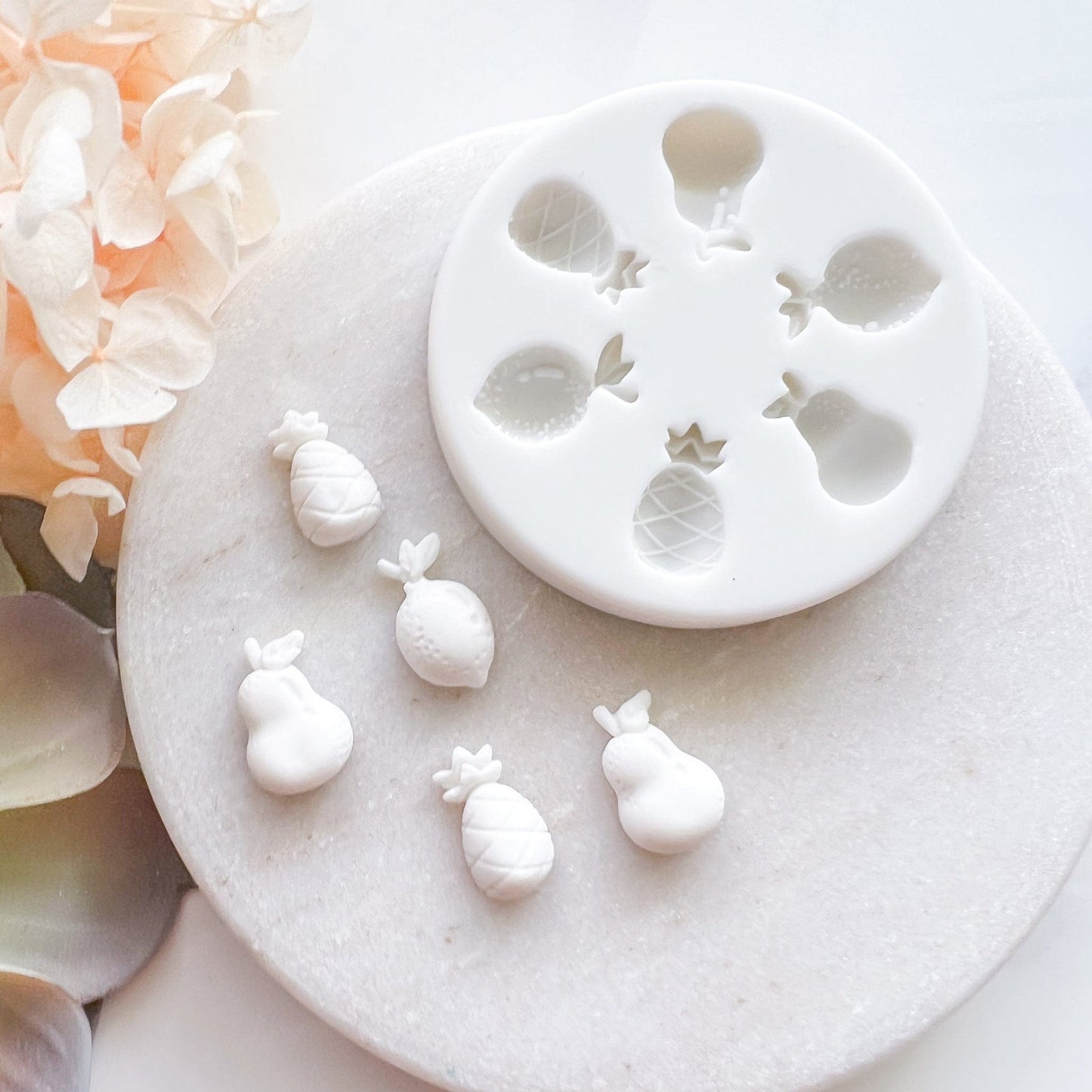 kitandco.com.au Mould "Fruit Collection" - Silicone Mould