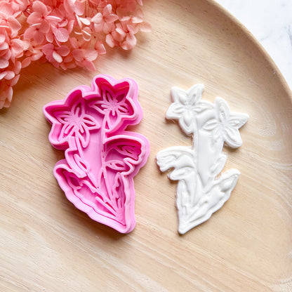 Star Flower - SECONDS SALE Cookie Cutter & Stamp